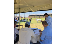 Luciano Pires, João Marcos, Jandovi e Paulo Brasil na passagem dos lotes do Leilão