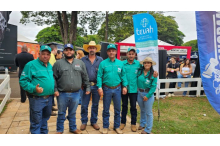  2º Leilão Premium Genética Paraná - Nelore Serilon