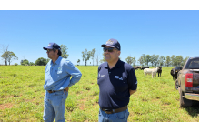 Visita à Fazenda Santa Marta Naviraí 