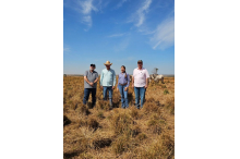 Explorando a Fazenda Jacamim e sua genética de qualidade