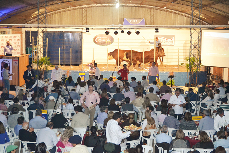  Remate Carcávio e Pedra Grande lotou o Centro de Eventos da Rural de Livramento