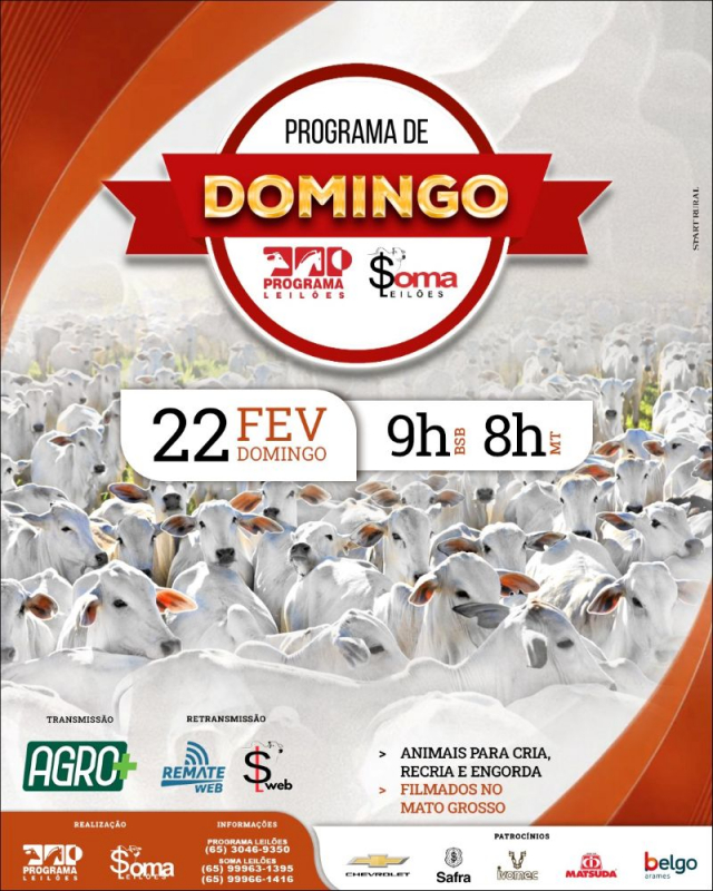 142º Programa de Domingo - Programa e Soma Leilões