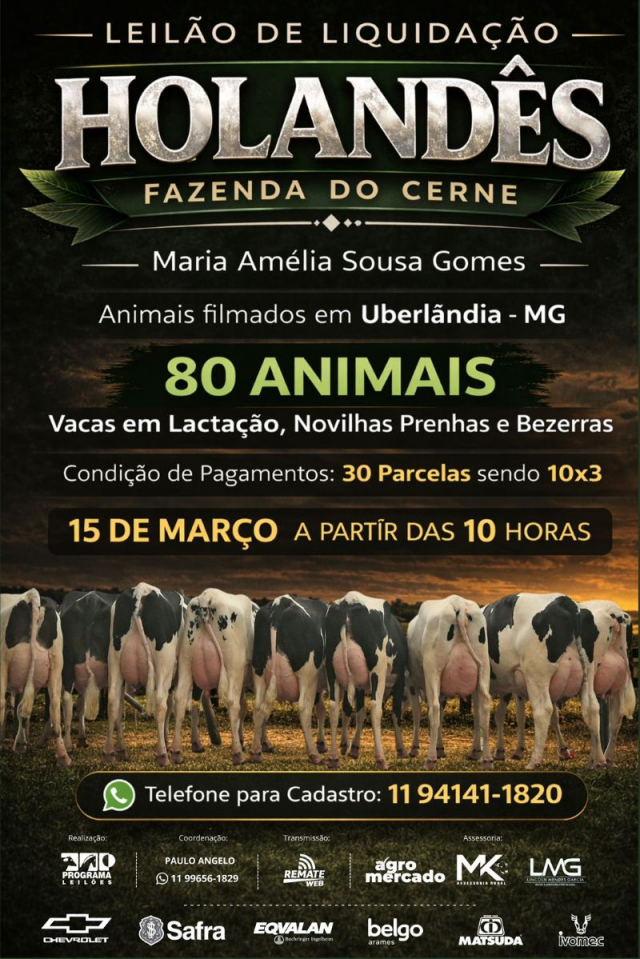 Leilão de Liquidação Holandês Fazenda Cerne