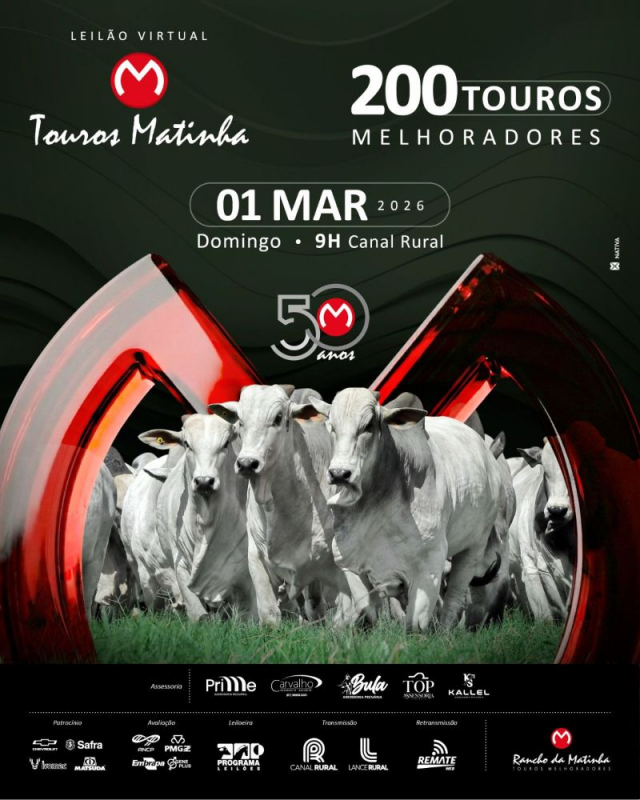 Leilão Virtual Touros Matinha - Touros Melhoradores