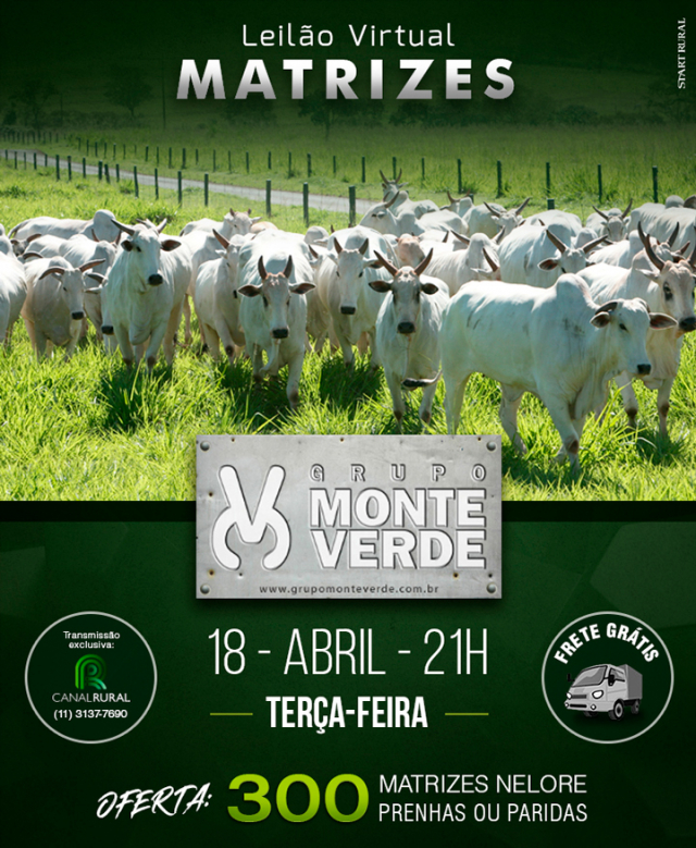 Virtual Matrizes Grupo Monte Verde