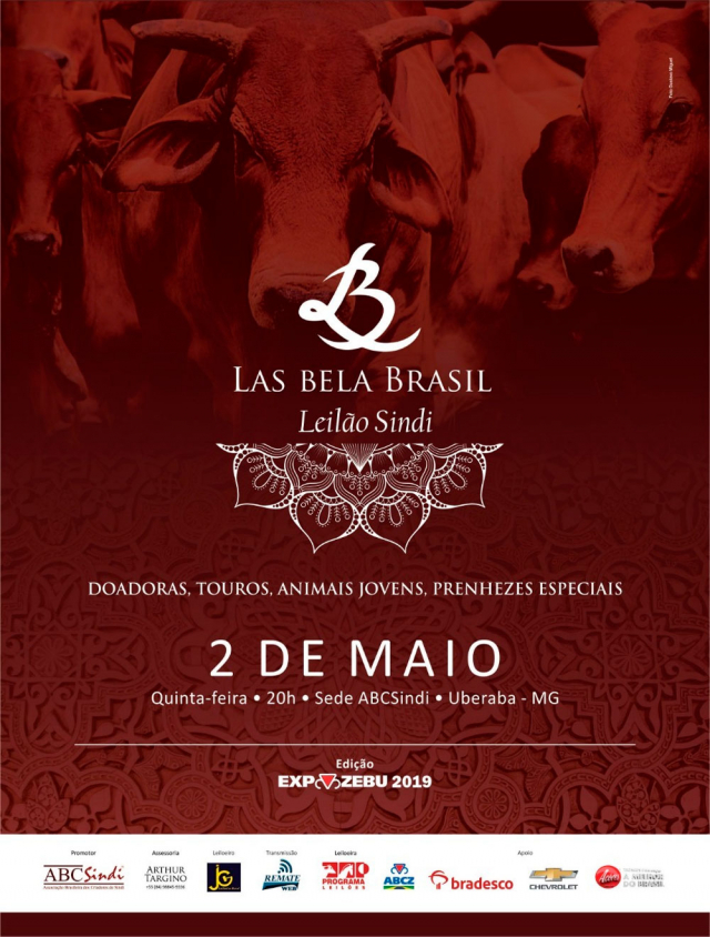 Las Bela Brasil - Leilão Sindi