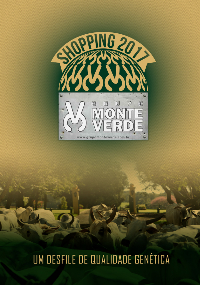 Shopping Monte Verde