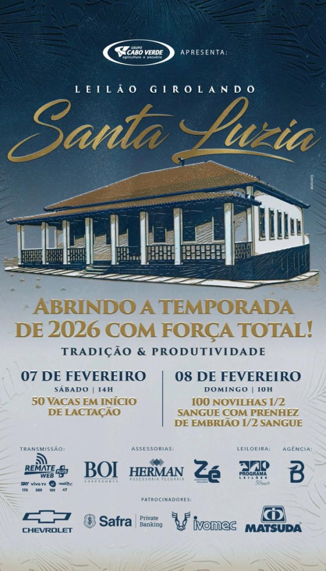Leilão Virtual Girolando Santa Luzia - Novilhas