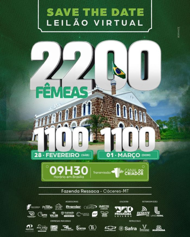 Leilão Virtual Fazenda Ressaca - 2ª edição - Fêmeas