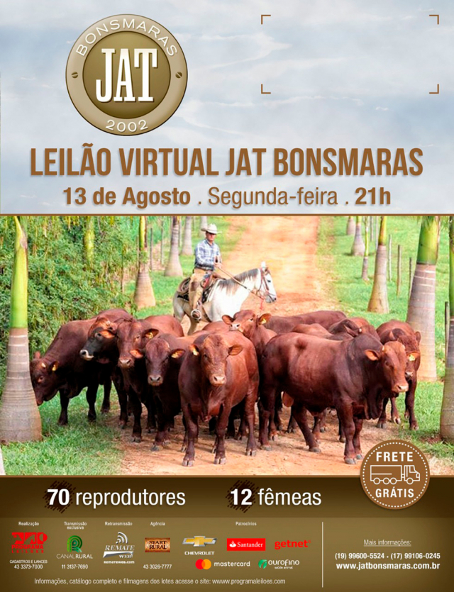 Leilão Virtual JAT Bonsmaras