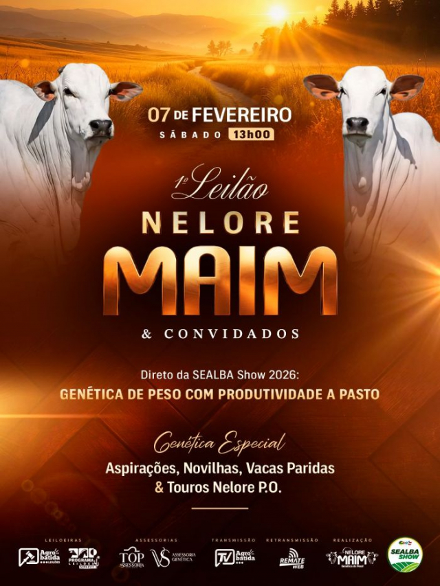 1° Leilão Nelore Maim e Convidados