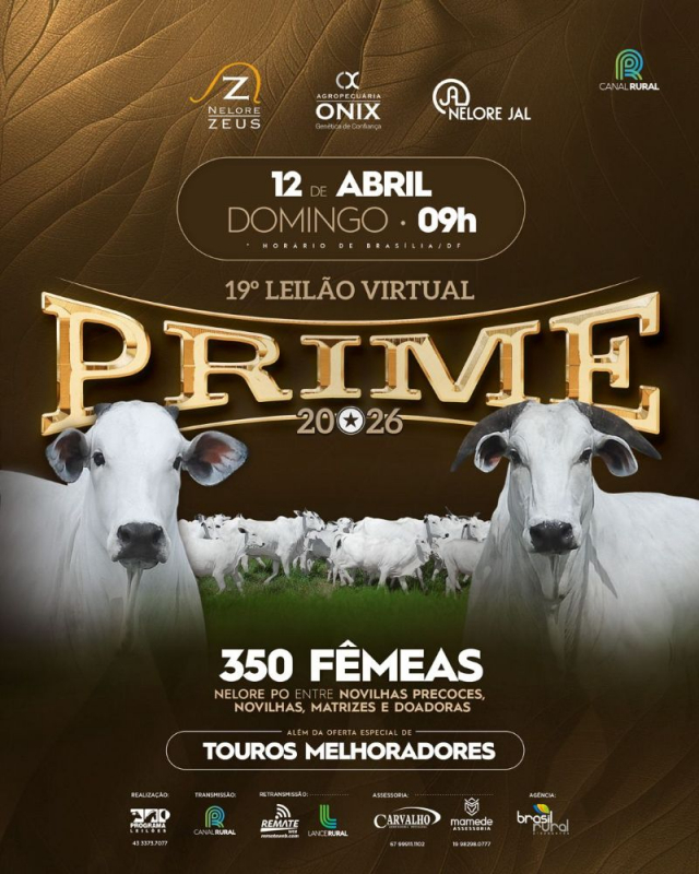 19º Leilão Virtual Prime 2026