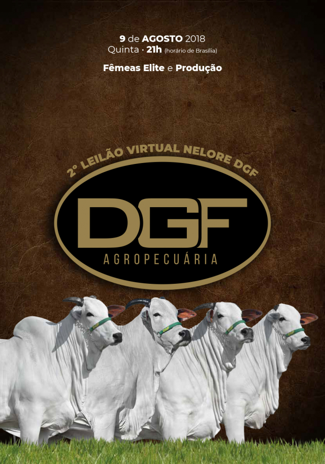 2° Leilão Virtual Nelore DGF Agropecuária