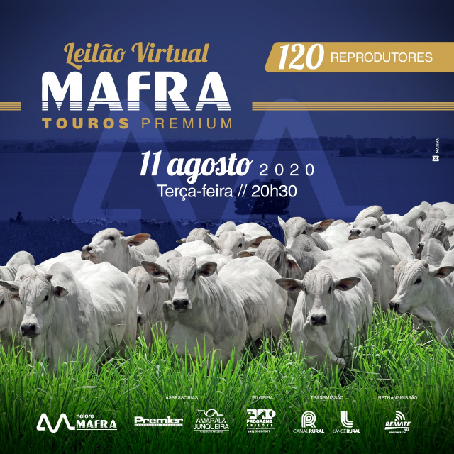 Virtual Mafra Touros Premium