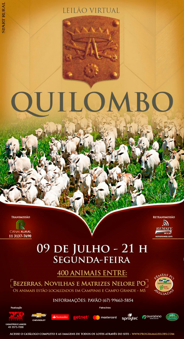 Leilão Virtual Quilombo