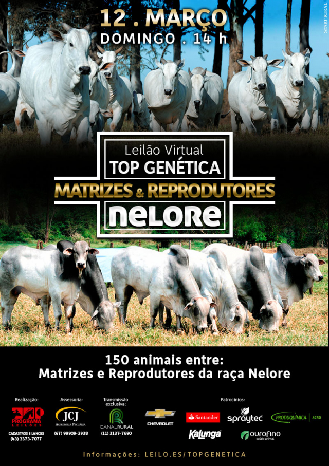 Top Genética Matrizes & Reprodutores Nelore