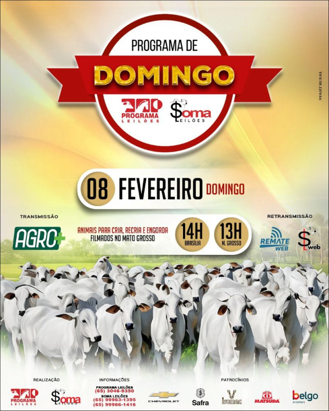 141º Programa de Domingo - Programa e Soma Leilões