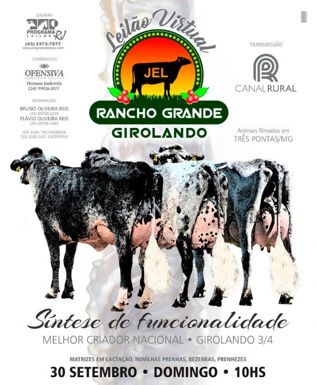 Leilão Virtual Rancho Grande Girolando