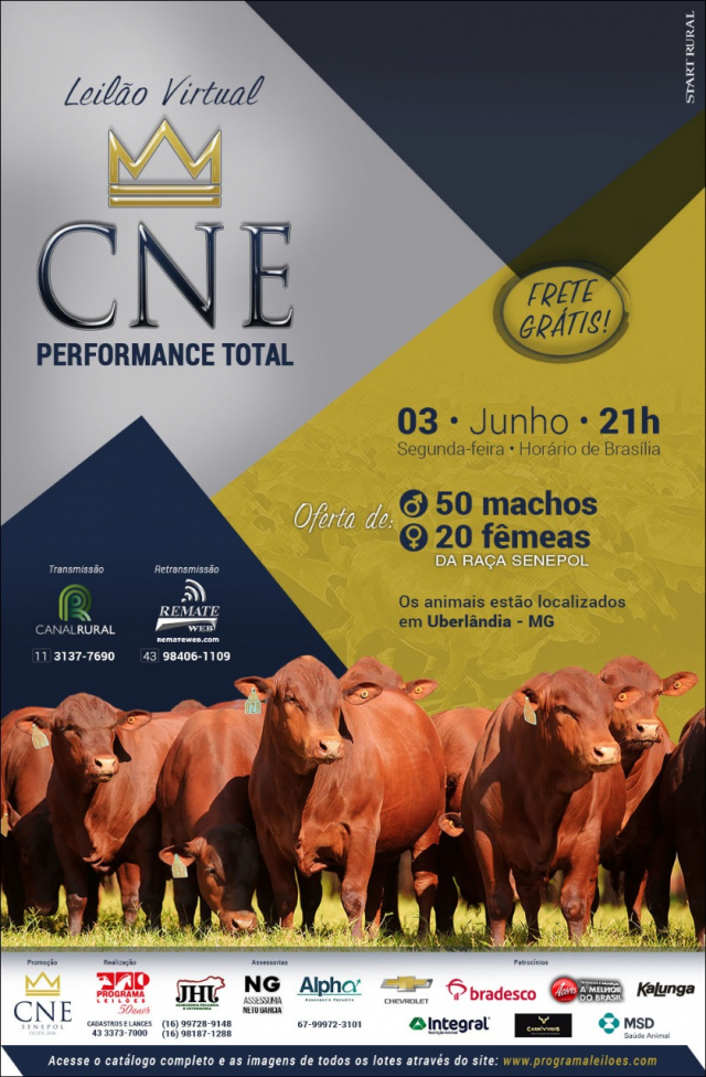 Leilão Virtual CNE Performance Total