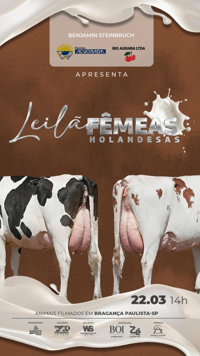 Leilão Virtual Fêmeas Holandesas - Fazenda Alvorada e Ibis Agrária