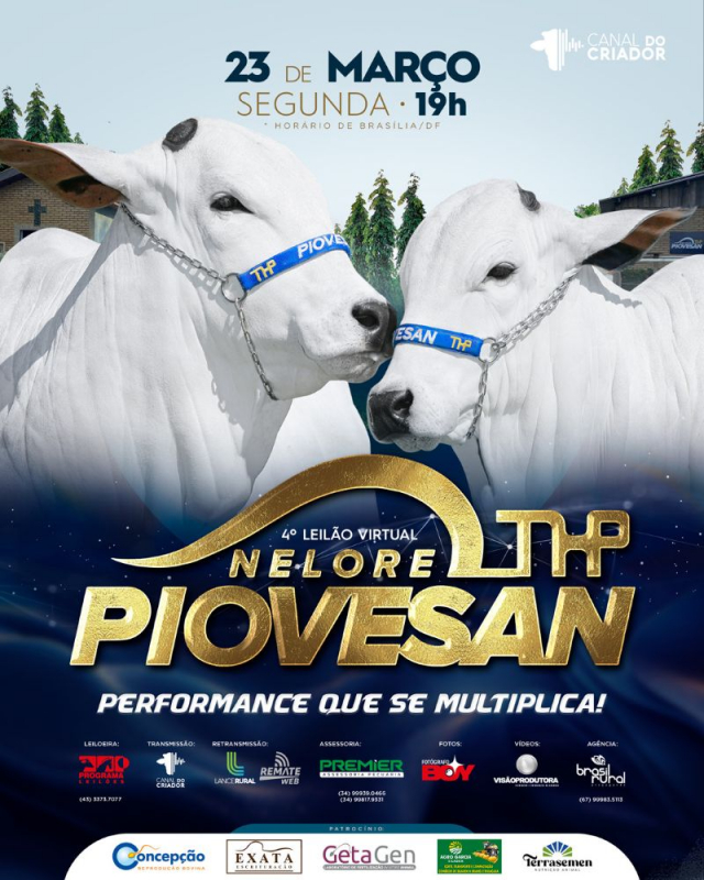 4º Leilão Virtual Nelore Piovesan