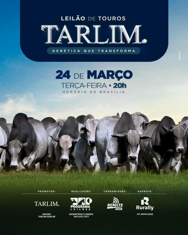 Leilão Virtual de Touros Tarlim.