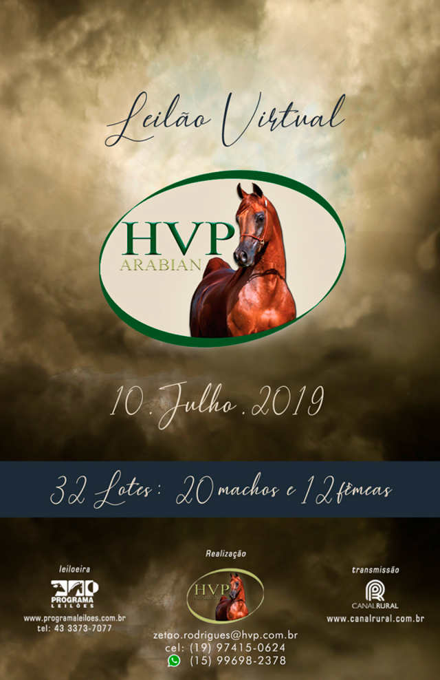 Leilão Virtual HVP Arabian