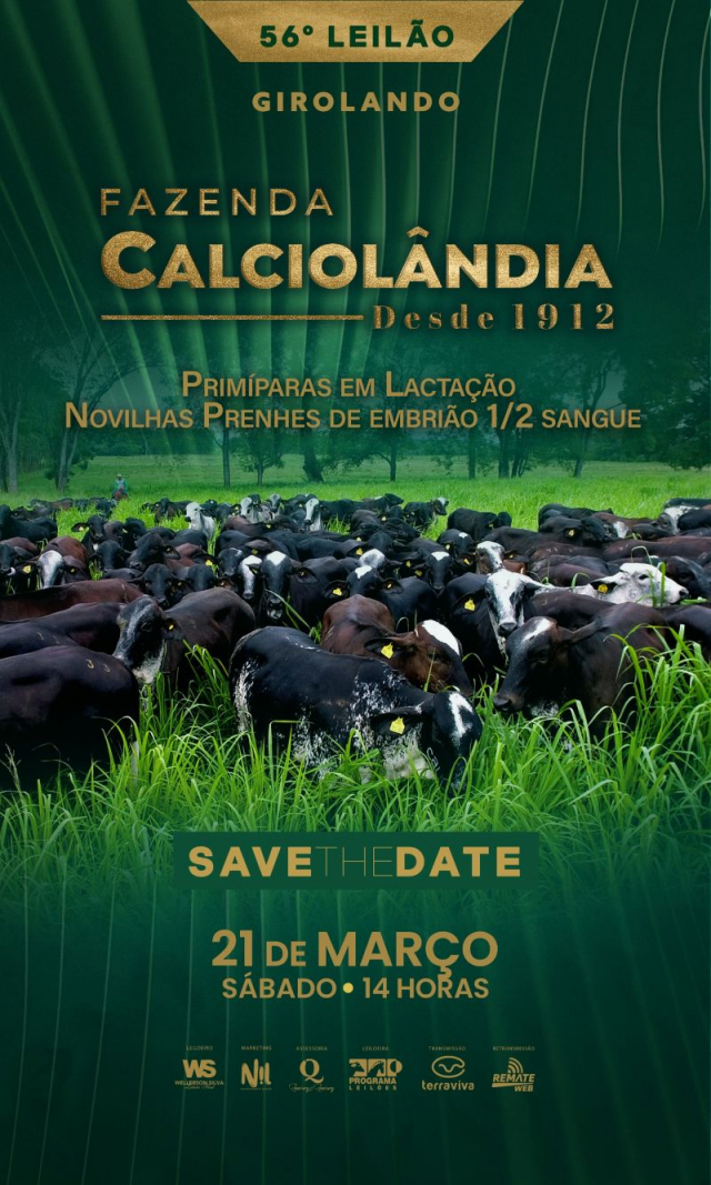 56º Leilão Virtual Girolando Fazenda Calciolândia
