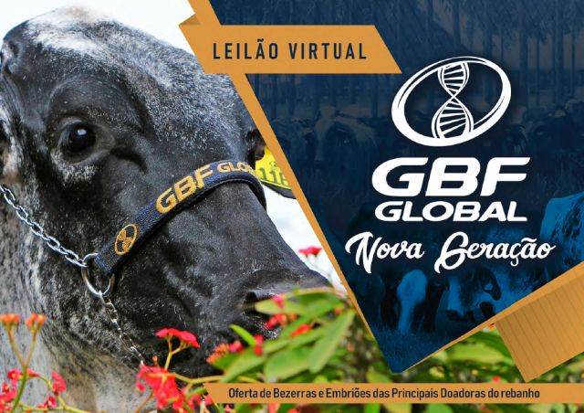 Leilão Virtual GBF Global - Nova Geração