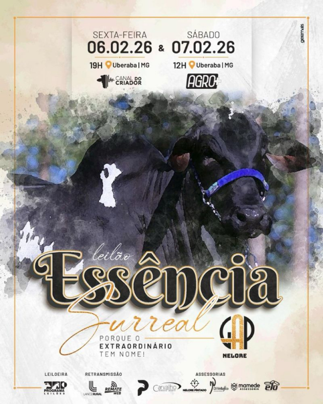 Leilão Essência Surreal Nelore GAP - 1ª Etapa