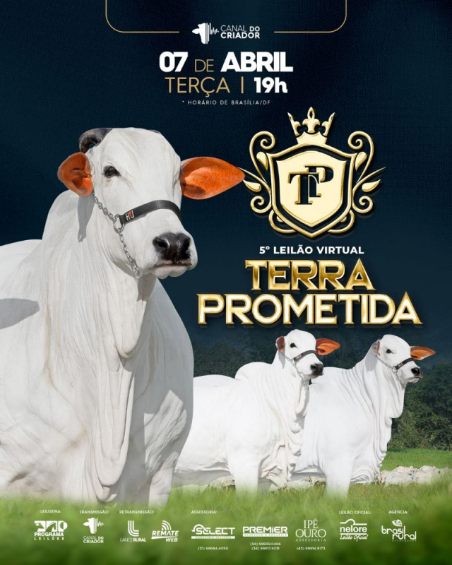 5º Leilão Virtual Terra Prometida