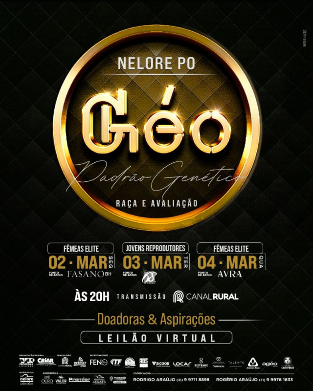 Leilão Virtual Nelore PO Géo Padrão Genético - Fêmeas Premium