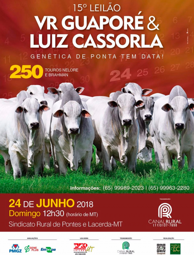 15° Leilão VR Guaporé & Luiz Cassorla