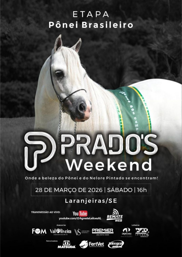 Leilão Prado's Weekend - Pônei Brasileiro
