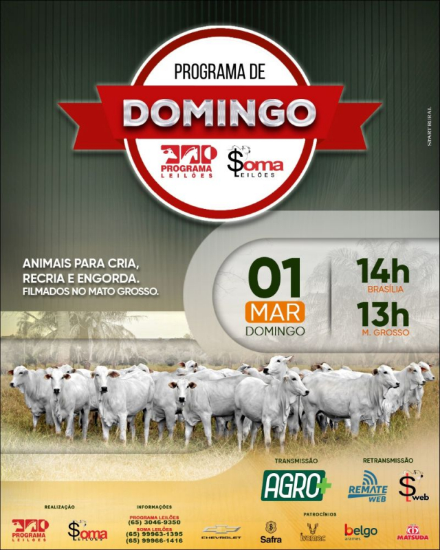 143º Programa de Domingo - Programa e Soma Leilões