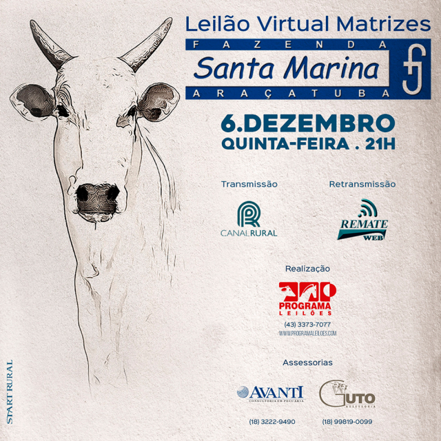 Leilão Virtual Matrizes Fazenda Santa Marina