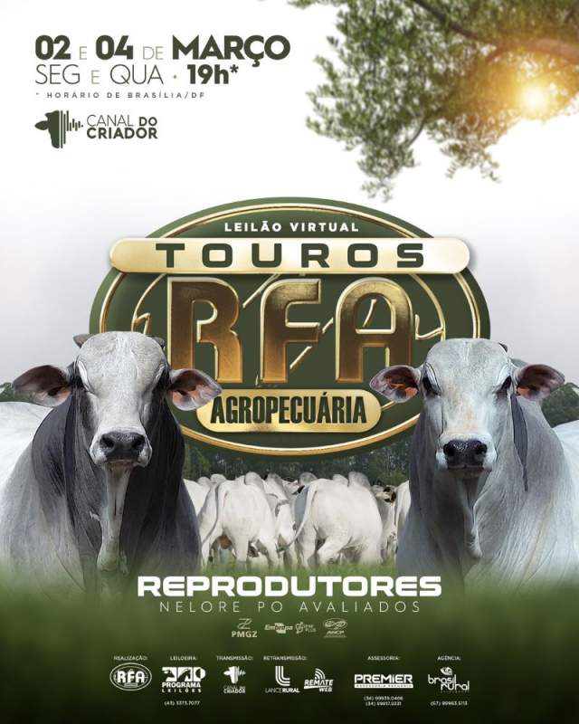 Virtual Touros RFA Agropecuária - 2ª Etapa