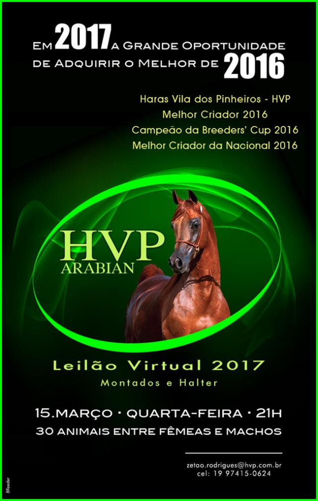 Virtual HVP Arabian - Haras Vila dos Pinheiros