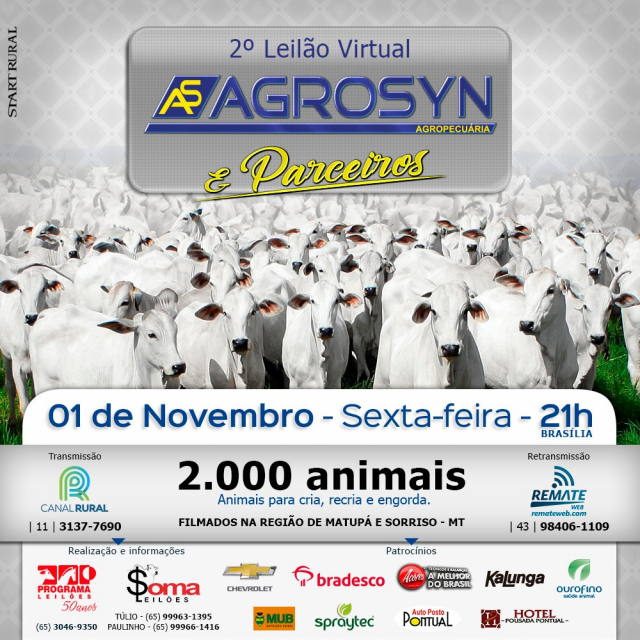 2° Leilão Virtual Agrosyn Agropec. & Parceiros