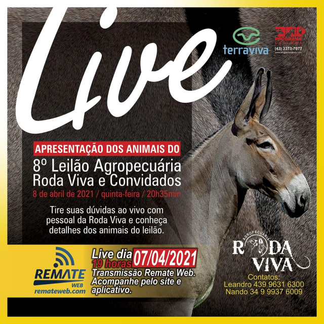 LIVE - 8° Leilão Agropecuária Roda Viva e Convidados