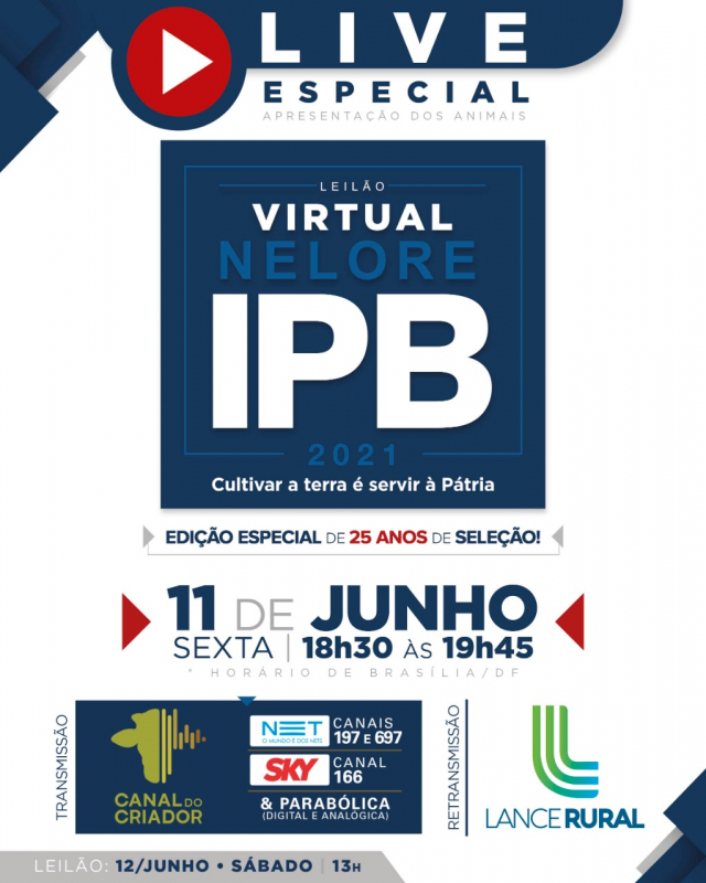 LIVE ESPECIAL | Leilão Virtual Nelore IPB 2021