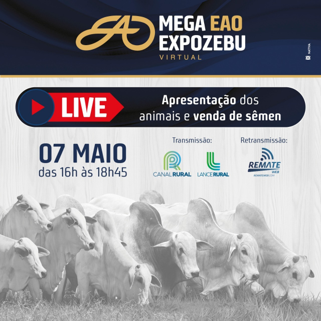LIVE - Mega EAO ExpoZebu Virtual