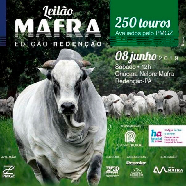 9° Leilão Touros Mafra