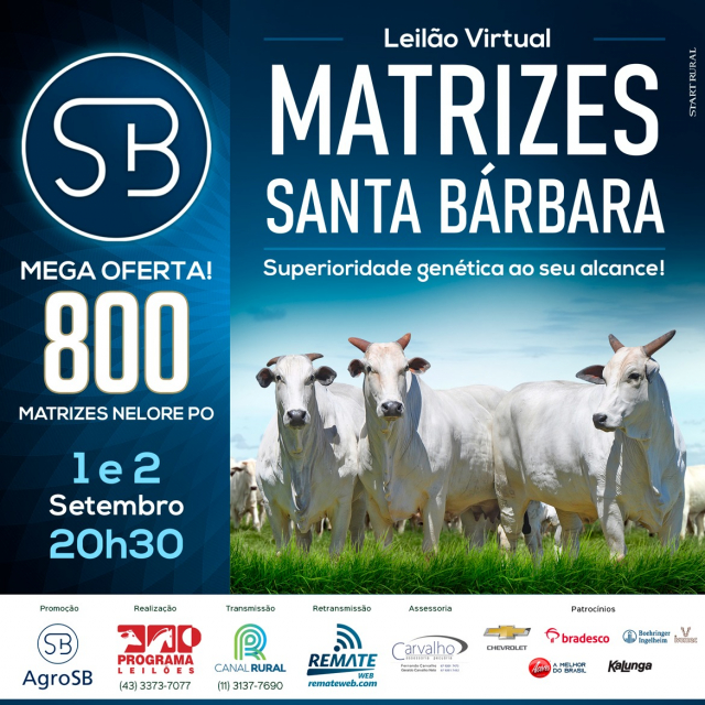 Virtual Matrizes Santa Bárbara - 2° Etapa