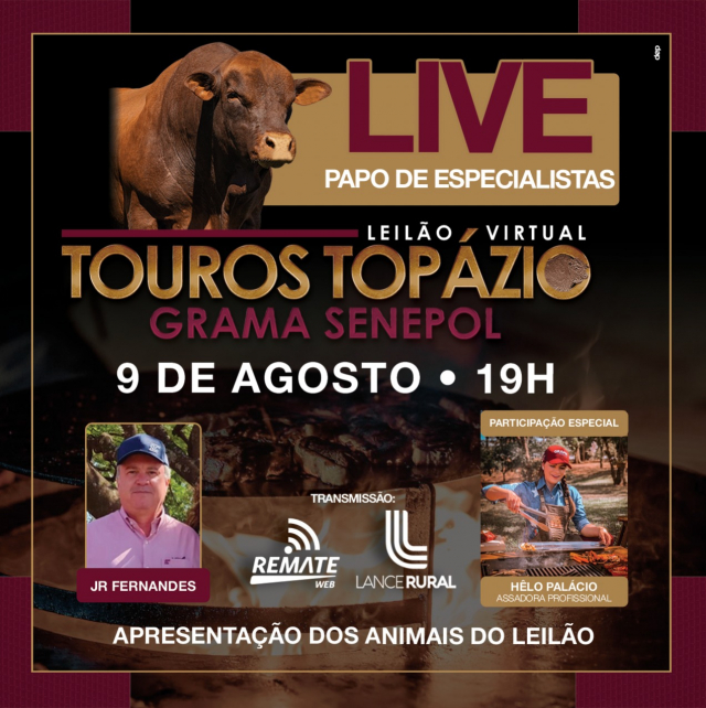 LIVE | Leilão Virtual Touros Topázio Grama Senepol