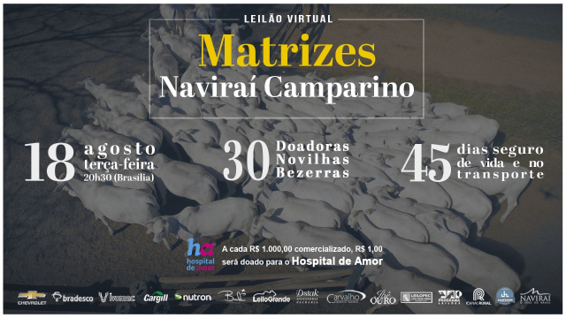 Virtual Matrizes Naviraí Camparino