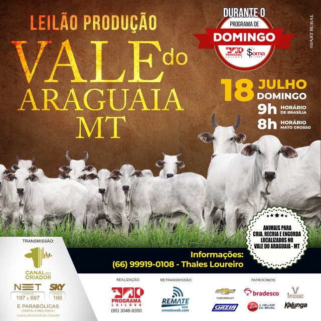 Leilão Produção Vale do Araguaia MT