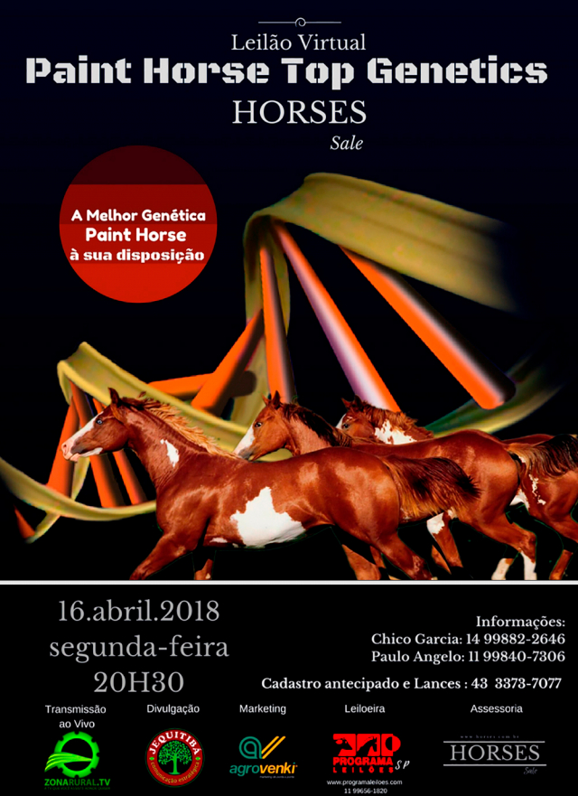 Virtual Paint Horse Top Genetics