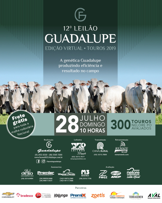 12° Leilão Guadalupe - Edição Virtual  Touros 2019