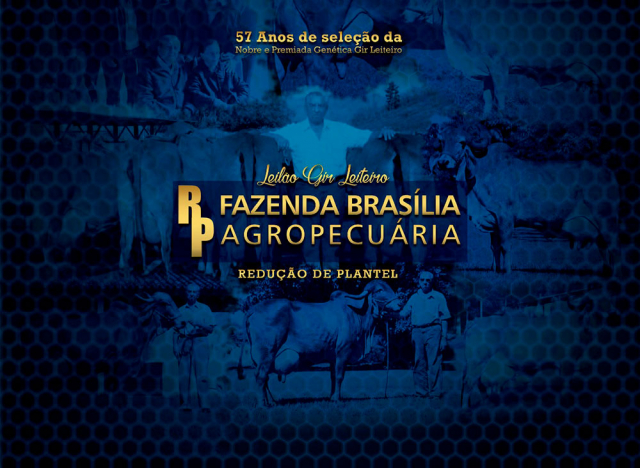Gir Leiteiro Fazenda Brasilia